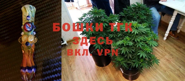 хмурый Сатка