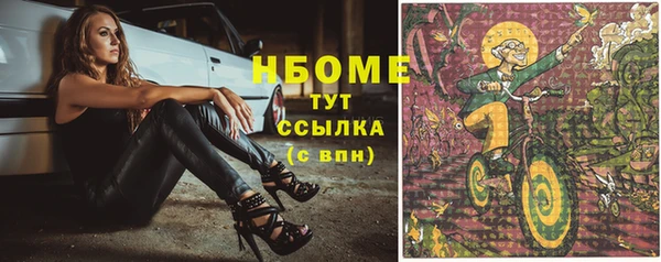 хмурый Сатка