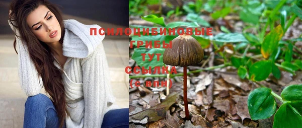 герыч Алзамай