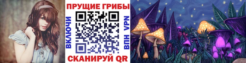 где продают   Озёры  Галлюциногенные грибы MAGIC MUSHROOMS 